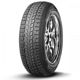 ROADSTONE N Priz 4S 195/50R15